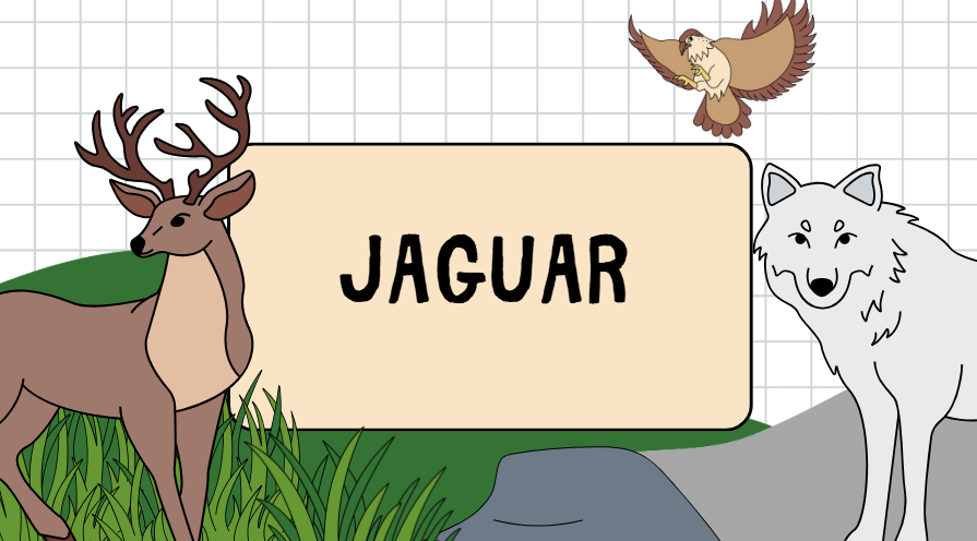 jaguar