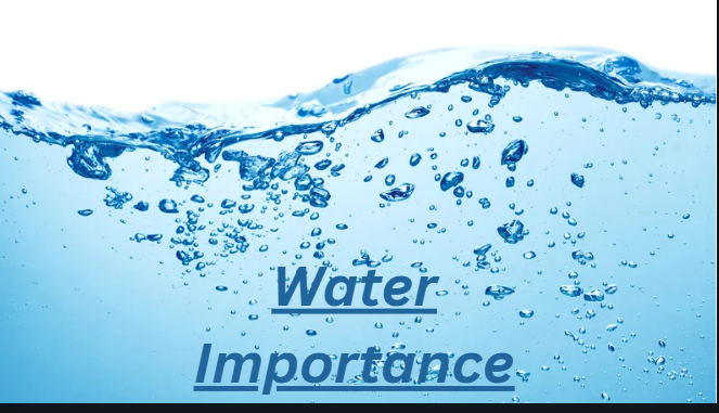 Water Importance